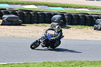 enduro-digital-images;event-digital-images;eventdigitalimages;lydden-hill;lydden-no-limits-trackday;lydden-photographs;lydden-trackday-photographs;no-limits-trackdays;peter-wileman-photography;racing-digital-images;trackday-digital-images;trackday-photos